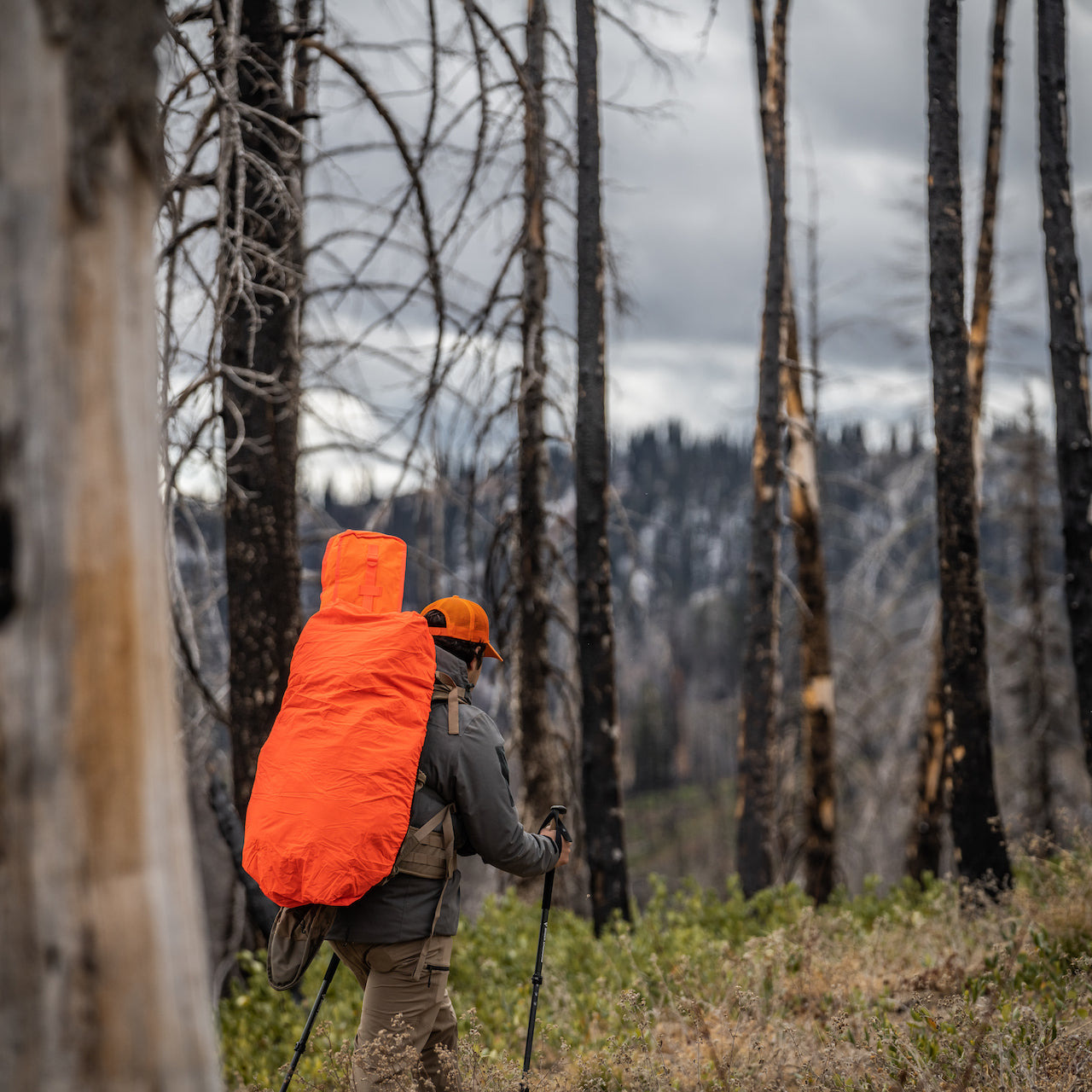 Eine Person, die einen orangefarbenen Hut und eine EBERLESTOCK Rucksack-Regenhülle Small wendbar - Mountain / Blaze Orange auf dem Rucksack trägt, wandert mit Trekkingstöcken durch hohe, blattlose Waldbäume unter einem bewölkten Himmel.