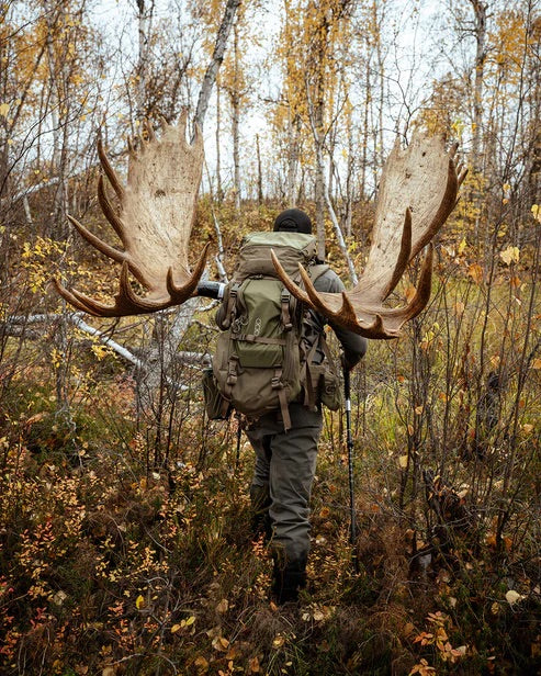Eine Person in Outdoor-Ausrüstung spaziert mit einem großen Elchgeweih und einer EBERLESTOCK Brute 4500 durch einen herbstlichen Wald, umgeben von Bäumen, deren Blätter gelb und braun leuchten.