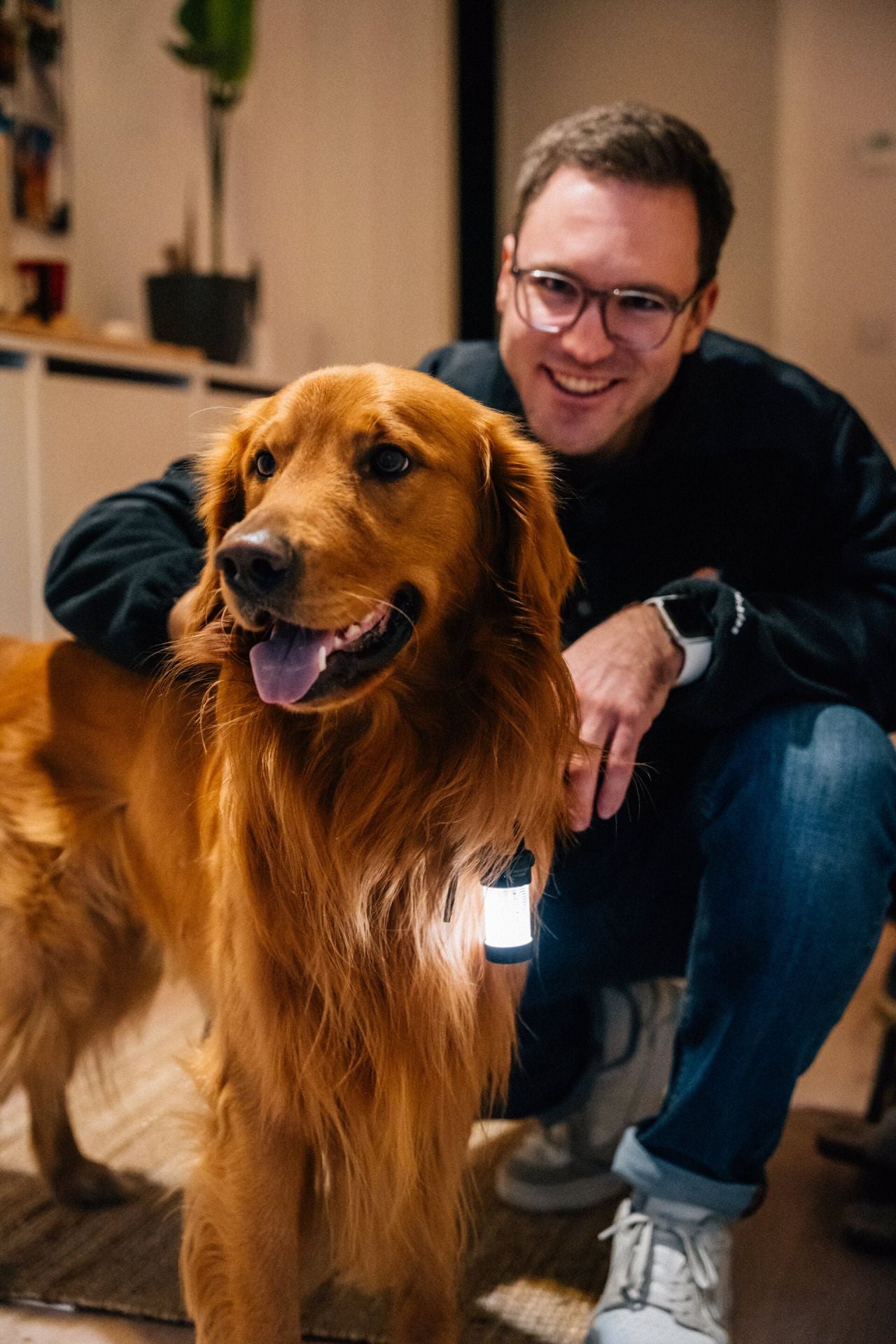 Ein lächelnder Mann mit Brille kniet in einem Haus neben einem glücklichen Golden Retriever, der einen reflektierenden Anhänger trägt, während eine kompakte LEDLENSER Ledlenser ML4 Outdoor Camping Lampe in der Nähe steht.