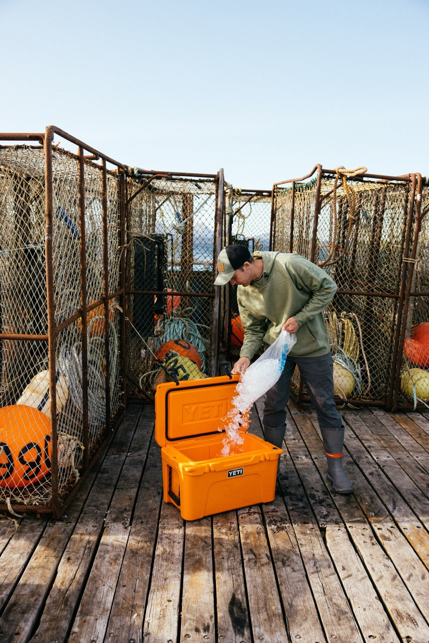Auf einem Holzsteg mit Fischkäfigen und bunten Bojen füllt jemand Eis in eine YETI® Kühlbox Tundra 45 - King Crab von YETI.