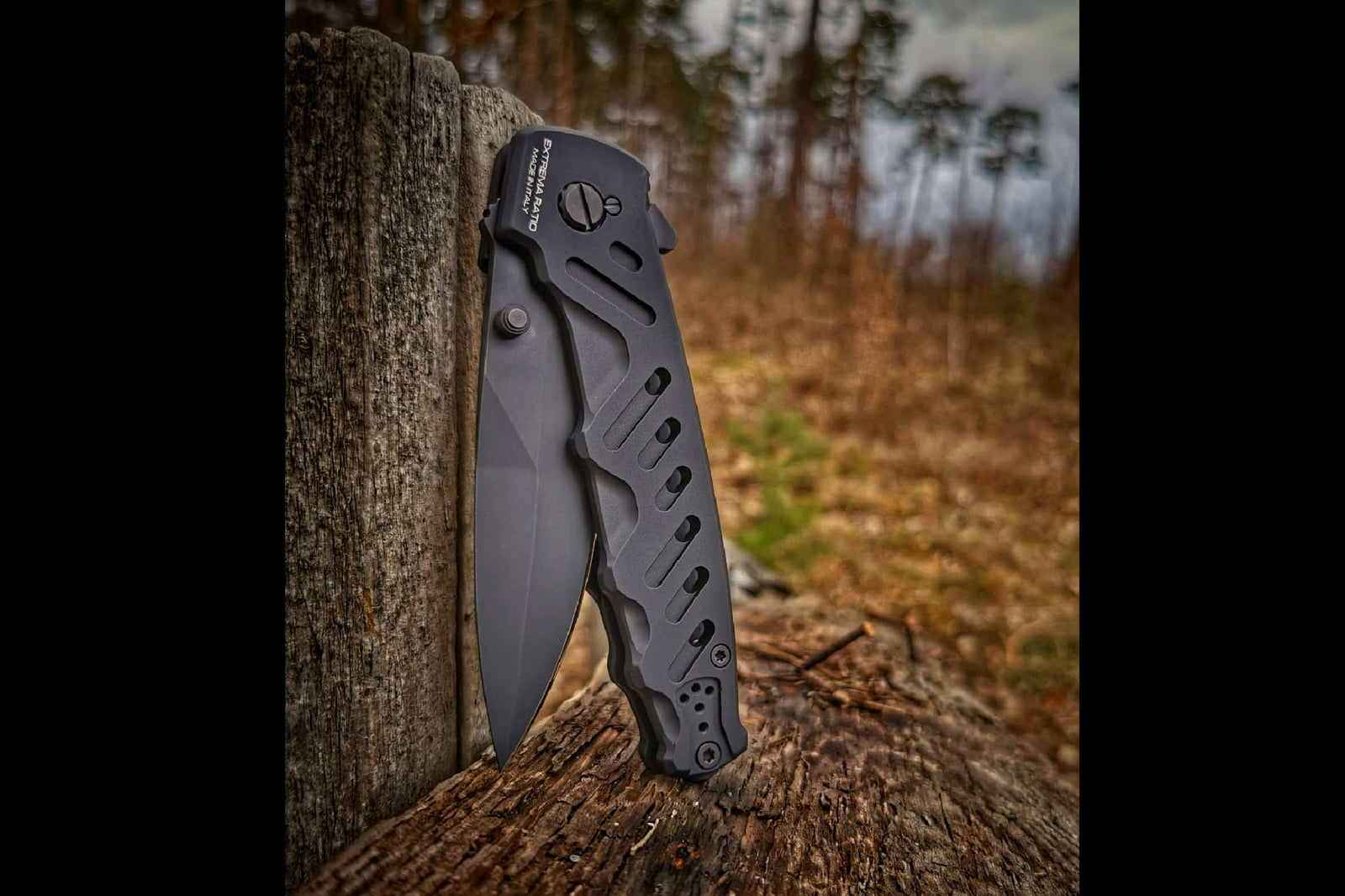 Das EXTREMA RATIO Extrema Ratio Messer Caimano Nero N.A. mit seiner teilweise gezackten schwarzen Klinge steht aufrecht in einem verwitterten Baumstumpf im Freien vor einem verschwommenen Waldhintergrund.