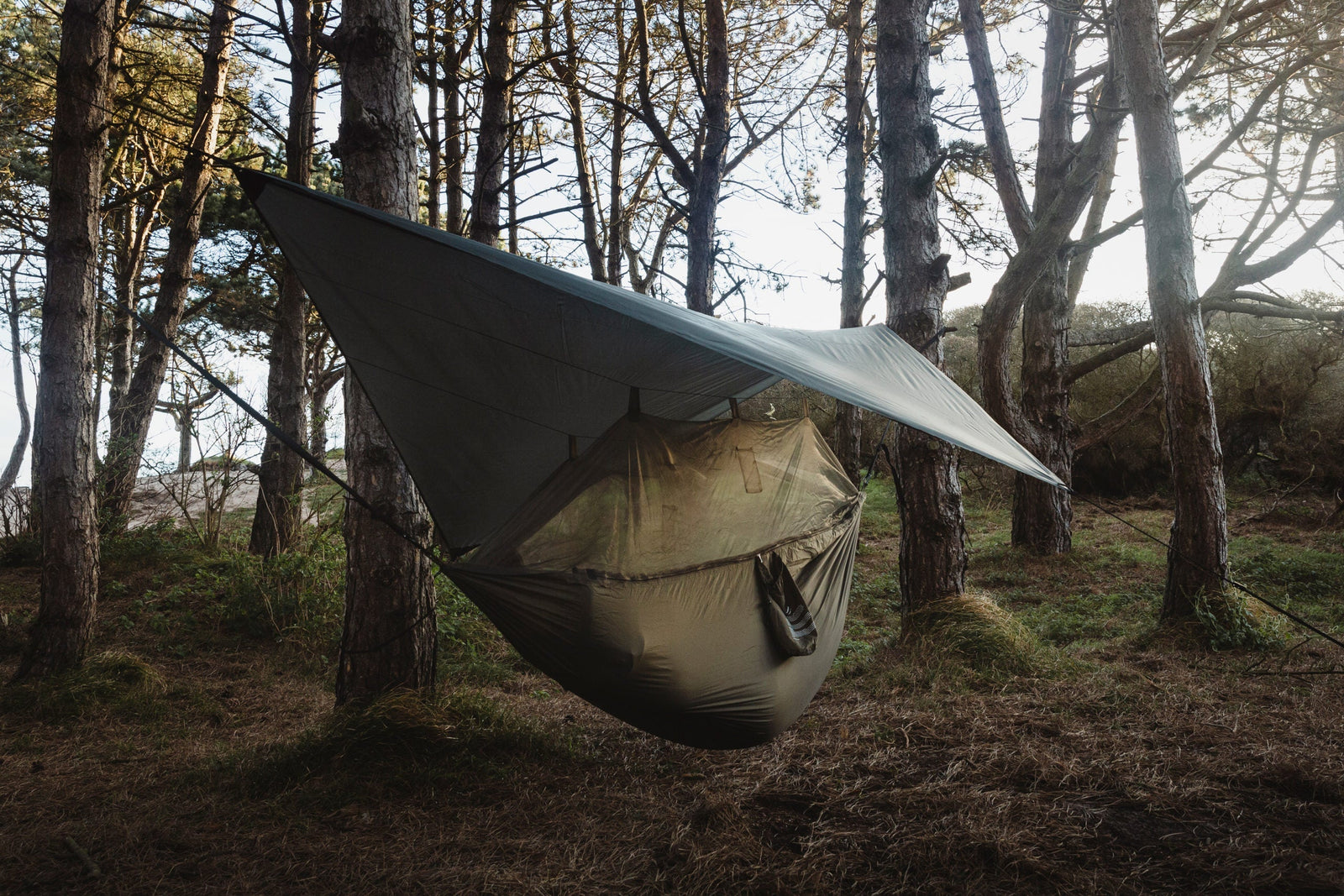 Die Highlander Hängematte Crusader Waterproof Hammock von HIGHLANDER FORCES ist zwischen Bäumen im Wald aufgehängt und bietet einen geschützten, wetterfesten Campingplatz auf grasbedecktem Boden unter hohen Stämmen.