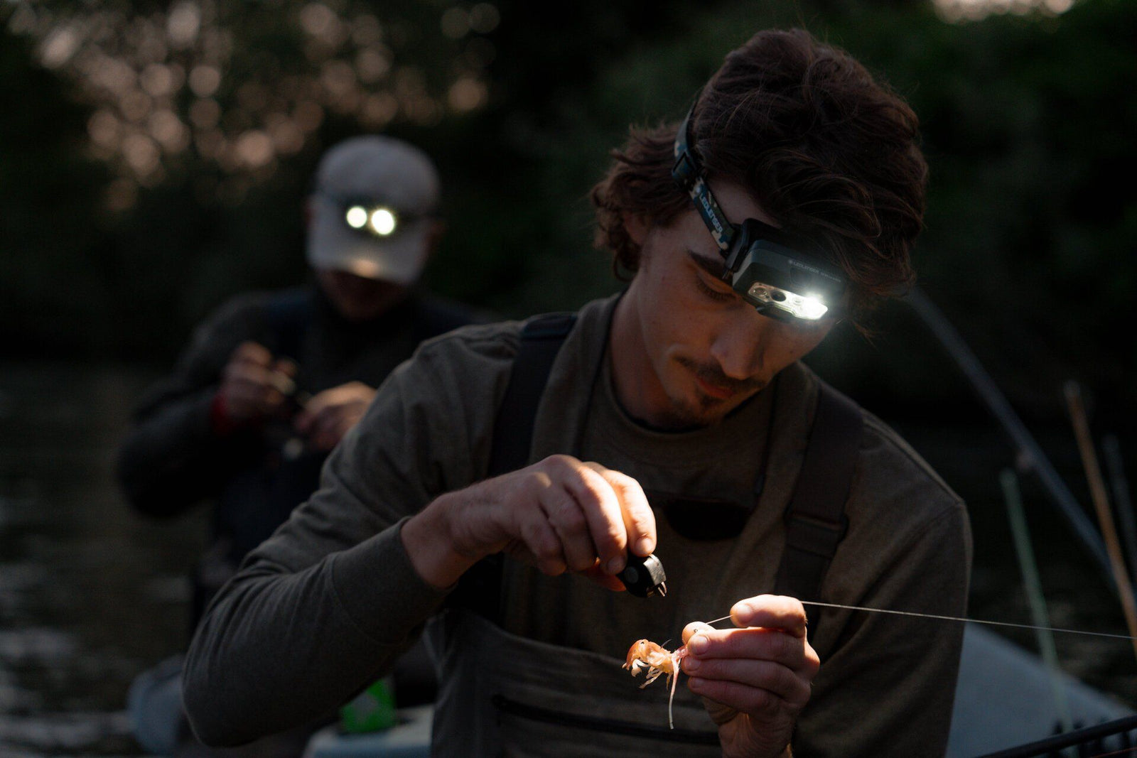 Zwei Personen beim Nachtangeln: Der Mann im Vordergrund, der die LEDLENSER Strinlampe HF8R Core RGB und eine Wathose trägt, ködert vorsichtig einen Köder, während eine andere Person mit einer Stirnlampe im schwach beleuchteten grünen Hintergrund arbeitet.