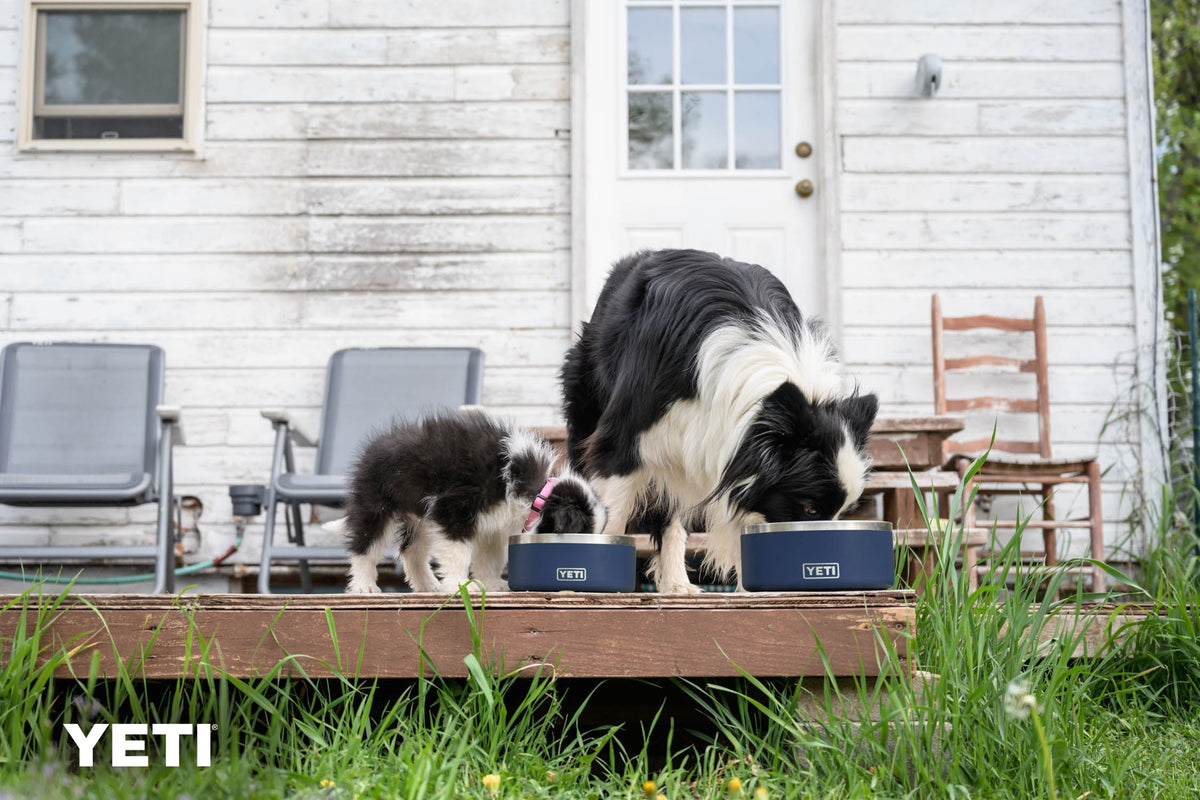 Zwei schwarz-weiße Hunde fressen aus YETI® Hundenapf Boomer™ 8 - Navy Näpfen auf einer hölzernen Veranda. Hinter ihnen stehen zwei Stühle, ein Schaukelstuhl und ein weißes Haus mit grünem Gras. Das Edelstahl YETI-Logo ist sichtbar.