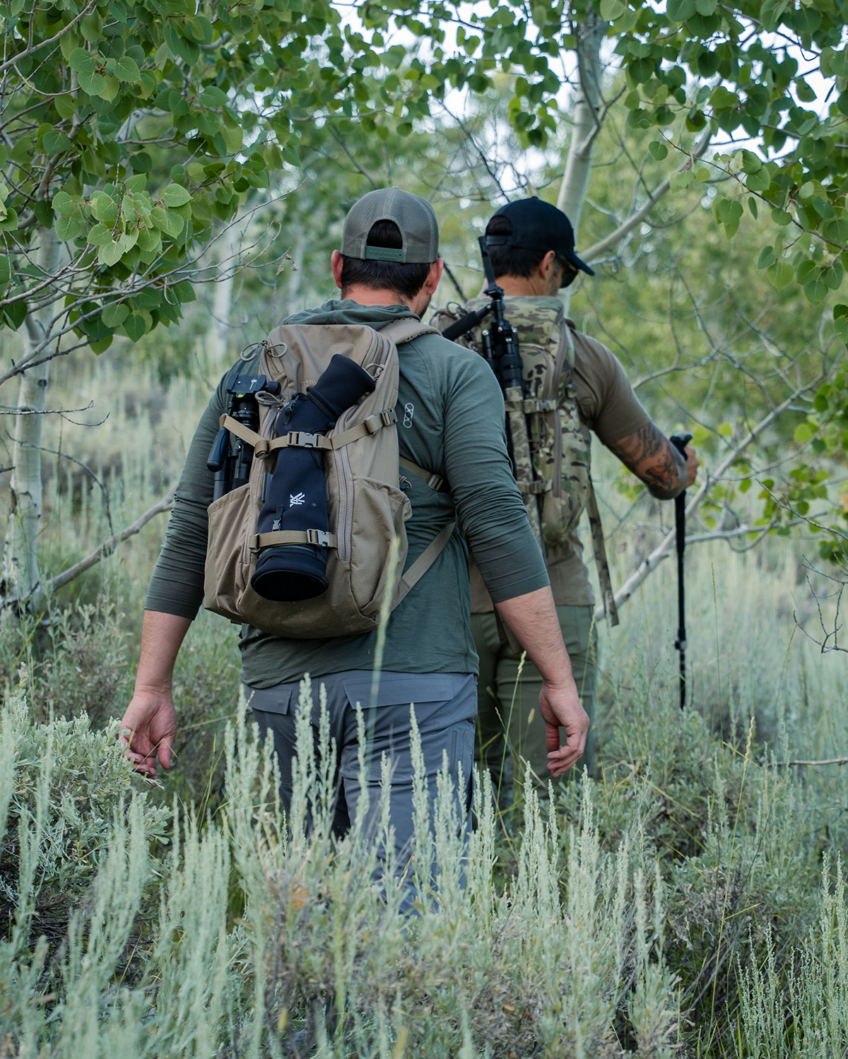 Zwei Wanderer, von hinten in einem Espenwald und Salbeibusch gesehen, tragen Mützen, lange Ärmel und taktische Rucksäcke - einer davon mit der EBERLESTOCK Brute Scout. Ein Wanderer trägt ein Stativ.
