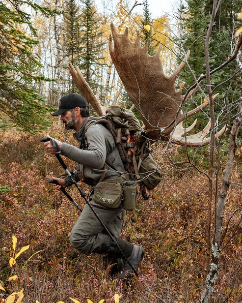 Eine Person in Outdoor-Ausrüstung wandert mit einem großen Elchgeweih und einer EBERLESTOCK Brute 4500 auf dem Rücken durch einen Herbstwald.