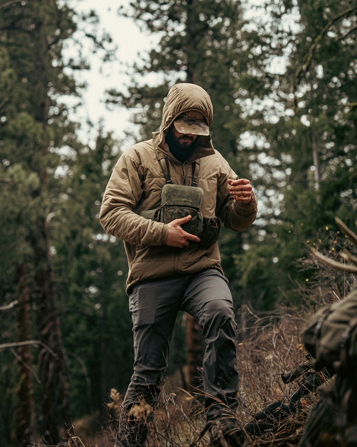 Ein Wanderer in der EBERLESTOCK Alturas Hooded Jacket - Black, einer Mütze und einer grauen Hose geht durch ein Waldgebiet, das von Kiefern und dichtem Unterholz umgeben ist.