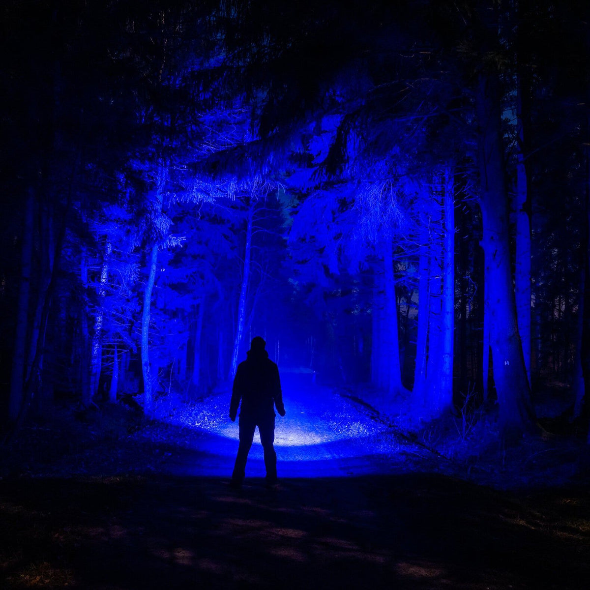 Eine Person steht auf einem Waldweg, dramatische Schatten werden durch das fokussierbares Licht der LEDLENSER Ledlenser P6R Core QC geworfen und beleuchten die dunklen Bäume.