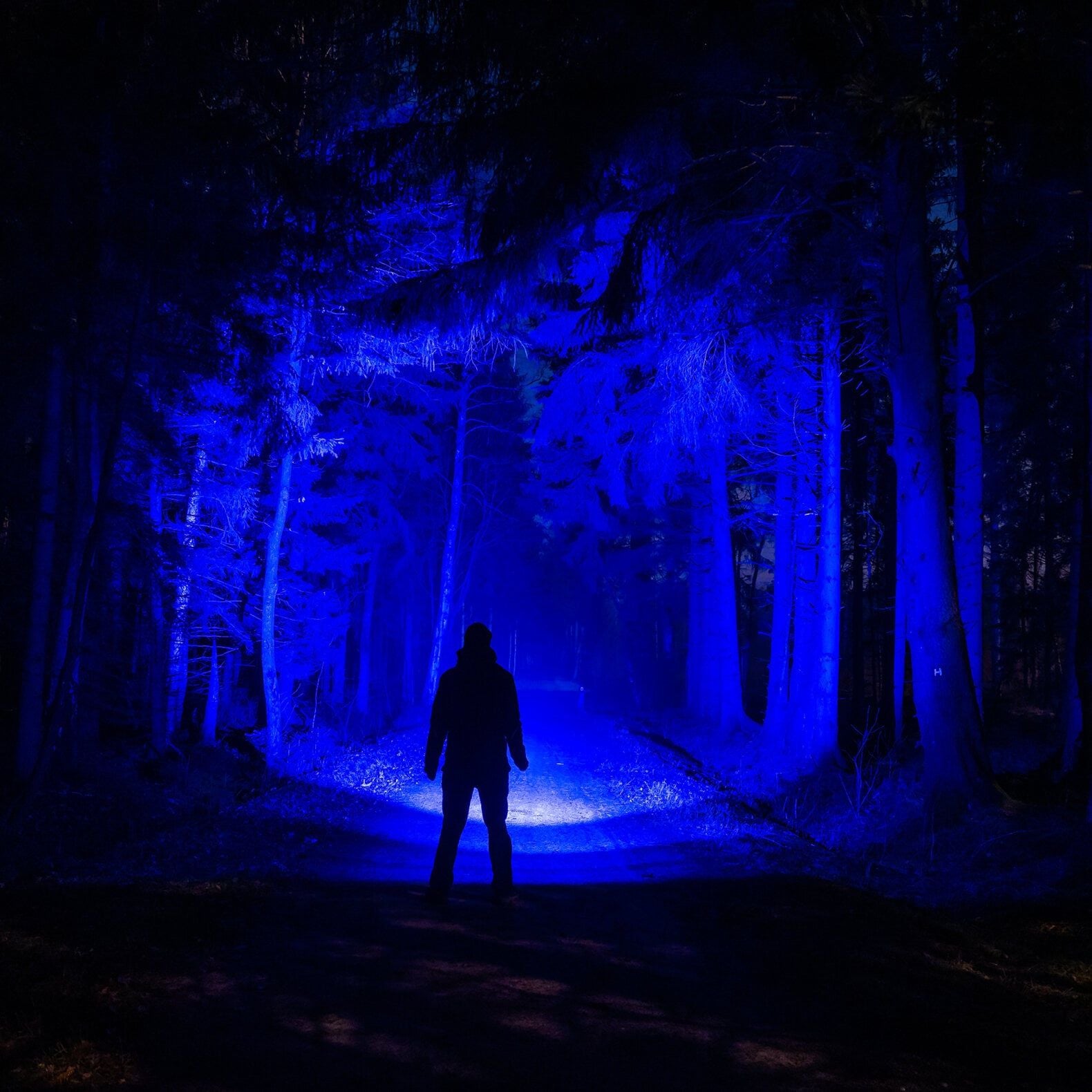 Eine Person steht auf einem dunklen Waldweg, beleuchtet vom bunten Licht einer LEDLENSER P6R Core QC Taschenlampe, das durch die Bäume scheint, dramatische Schatten wirft und eine geheimnisvolle Atmosphäre schafft.