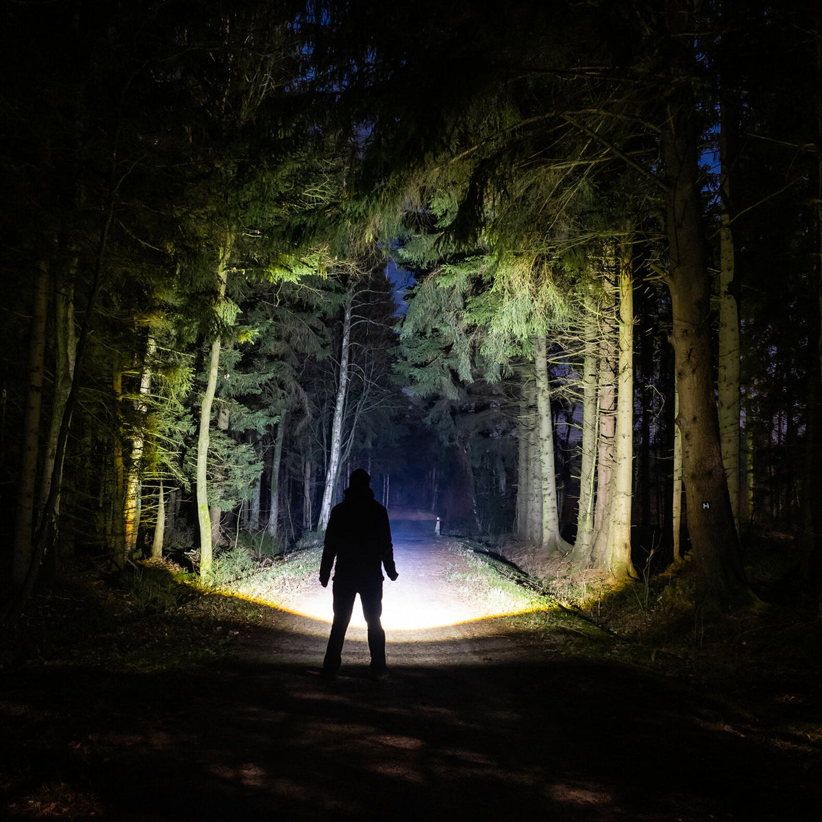 Eine Silhouette steht nachts auf einem dunklen Waldweg, beleuchtet vom fokussierbaren Licht der LEDLENSER Ledlenser P6R Core QC Taschenlampe und wirft wechselnde Schatten zwischen die hohen Bäume zu beiden Seiten.