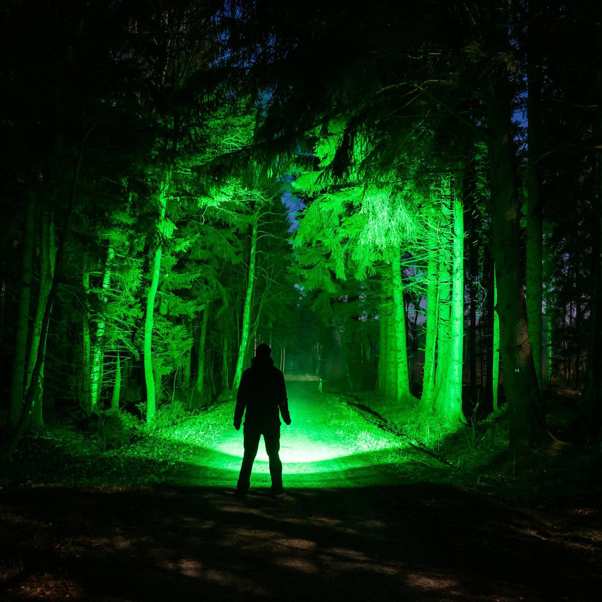 Nachts steht eine Person auf einem Waldweg vor dem hellgrünen, verstellbaren Lichtstrahl einer LEDLENSER Ledlenser P6R Core QC, der die Bäume beleuchtet und dramatische Schatten wirft, was einen unheimlichen Effekt erzeugt.
