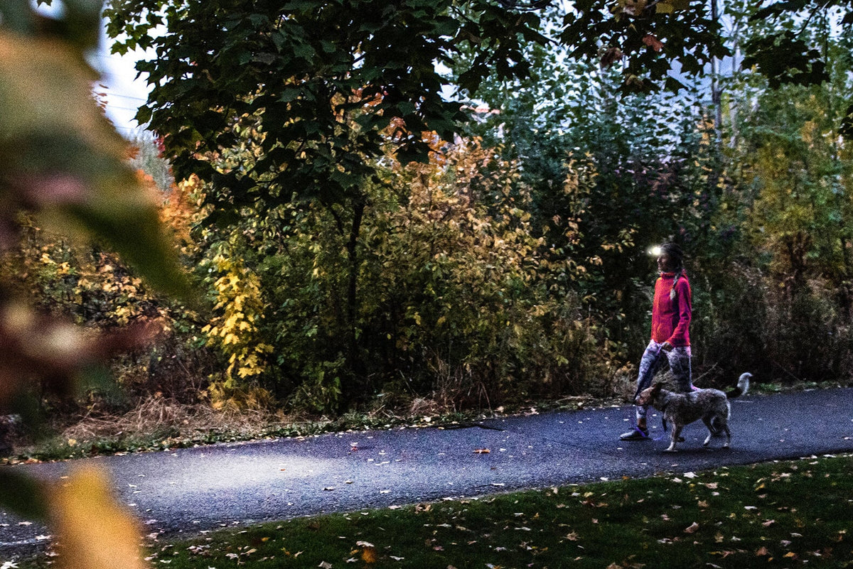 Eine Person in einer rosafarbenen Jacke, die die LEDLENSER Ledlenser Stirnlampe HF4R Core trägt, geht mit ihrem Hund auf einem gepflasterten Weg zwischen Bäumen und Herbstblättern am frühen Abend spazieren.