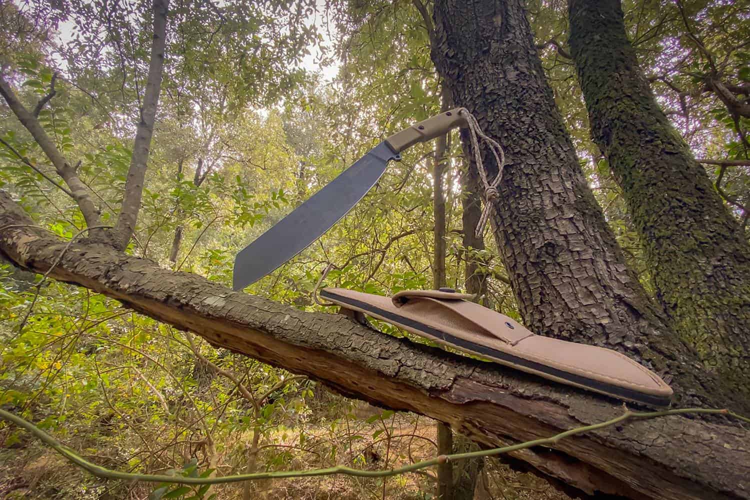 Ein EXTREMA RATIO Messer Kreios Expedition Outdoormesser mit hellbraunem Griff steckt in einem Ast im Wald, die braune Scheide liegt in der Nähe inmitten von dichtem Grün und hohen Bäumen und hebt dieses robuste Expeditionsmesser hervor.
