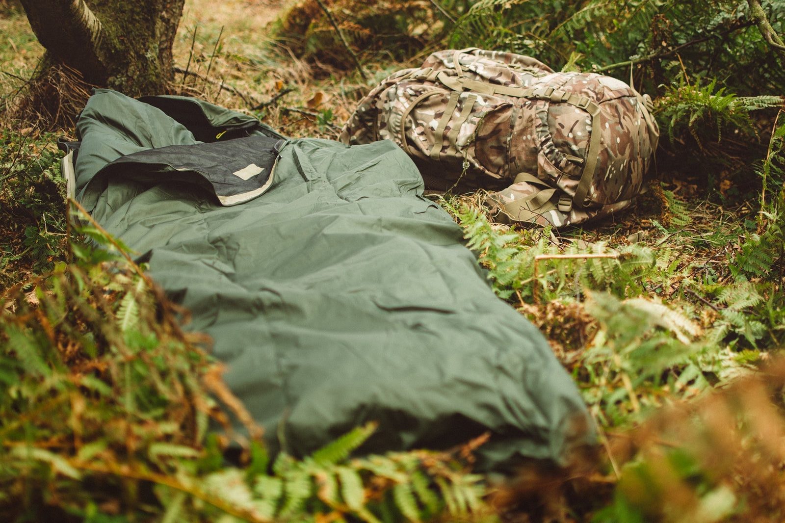 Ein grüner HIGHLANDER FORCES Highlander Biwaksack Hawk Bivy Bag liegt auf dem Waldboden zwischen Farnen, mit einem wasserdichten Tarn-Militärrucksack in der Nähe gegen die Waldvegetation.