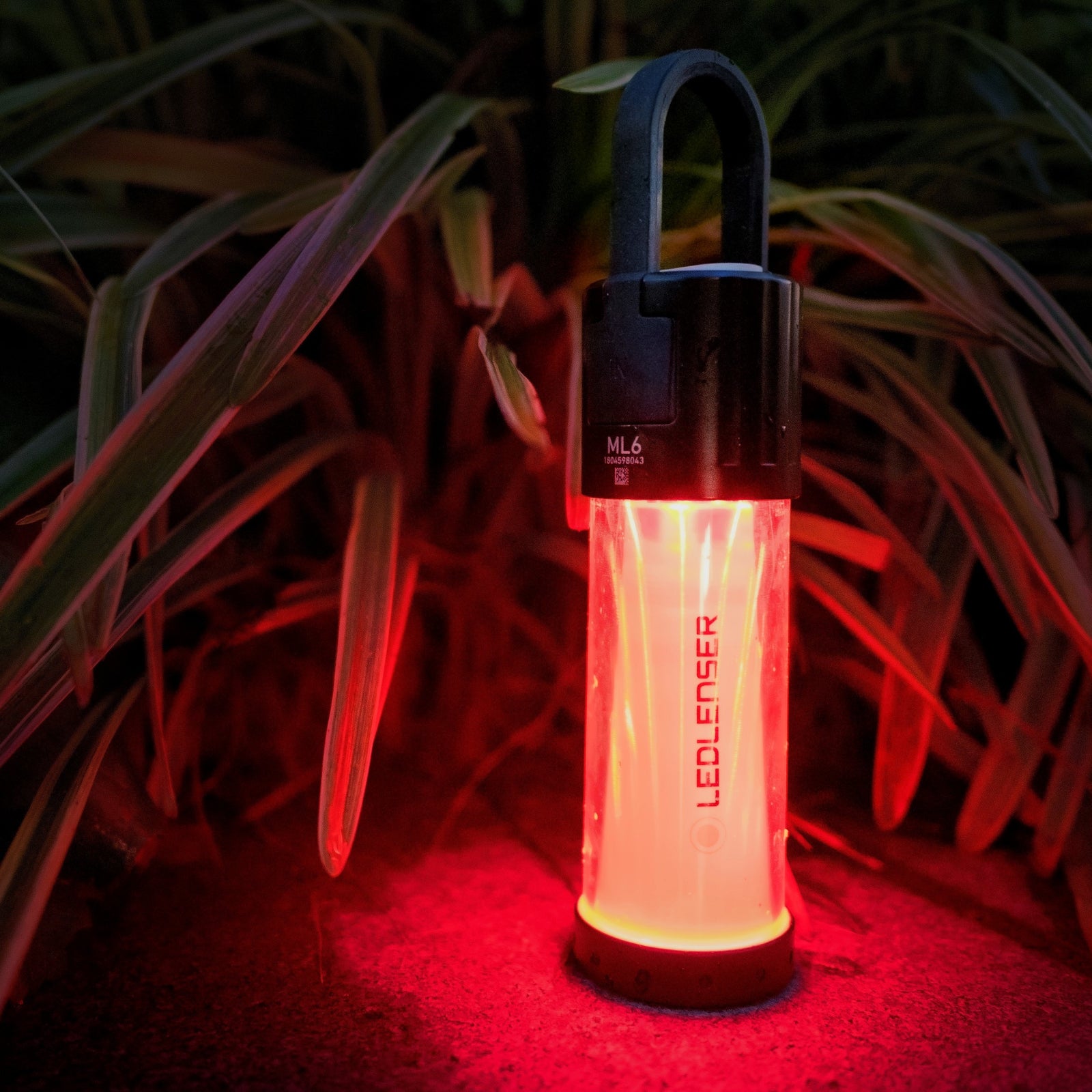 Die LEDLENSER Campinglampe ML6 Connect WL leuchtet rot auf dem Boden zwischen grünen Blättern und taucht Pflanzen und Erde mit ihrem warmweißen Licht in ein stimmungsvolles Ambiente.