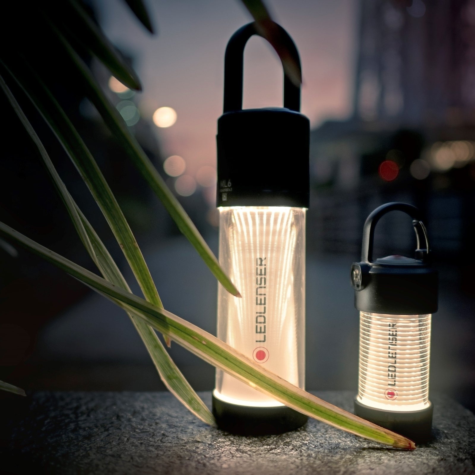 Zwei LEDLENSER Laternen, darunter die Ledlenser Campinglampe ML6 Connect WL, werfen warmweißes Licht auf eine Außenfläche in der Abenddämmerung, wobei grüne Blätter diese Outdoor Laterne vor einem sanft beleuchteten, verschwommenen Hintergrund einrahmen.