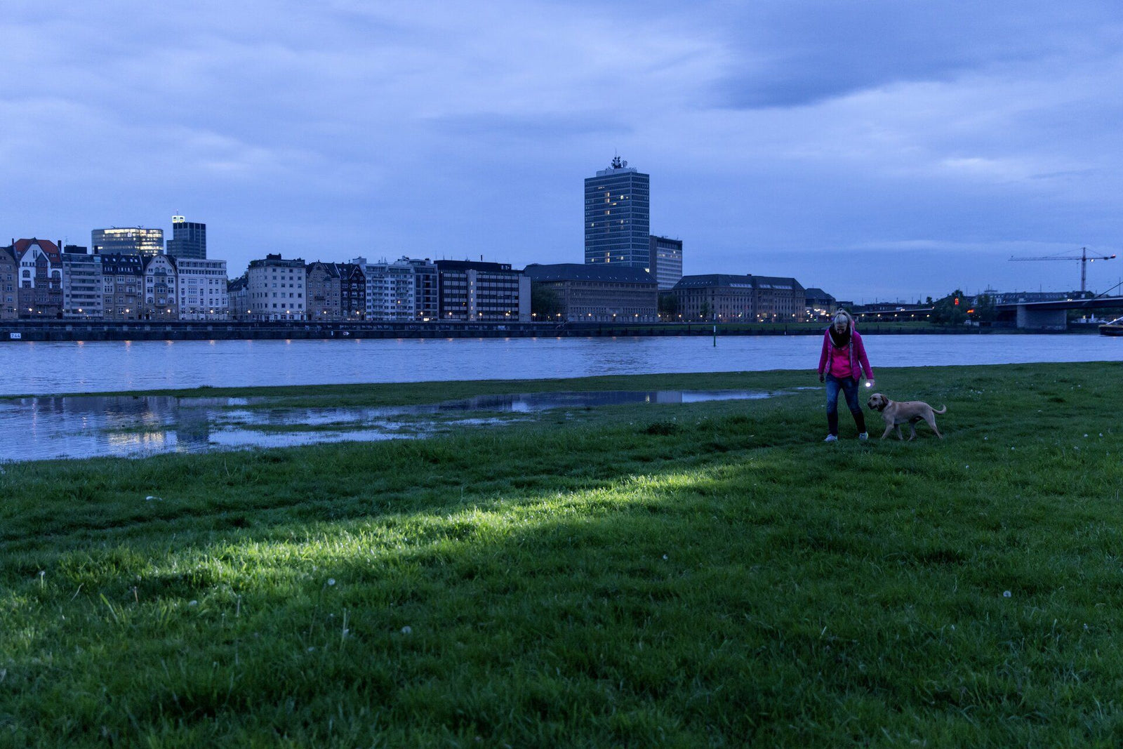 Eine Person in einer rosafarbenen Jacke, die eine LEDLENSER Taschenlampe P7 mit Advanced Focus System trägt, geht mit einem Hund an einem grasbewachsenen Flussufer in der Abenddämmerung spazieren, wobei die Gebäude der Stadt und eine Brücke auf der anderen Seite des Wassers unter einem bewölkten Himmel sichtbar sind.