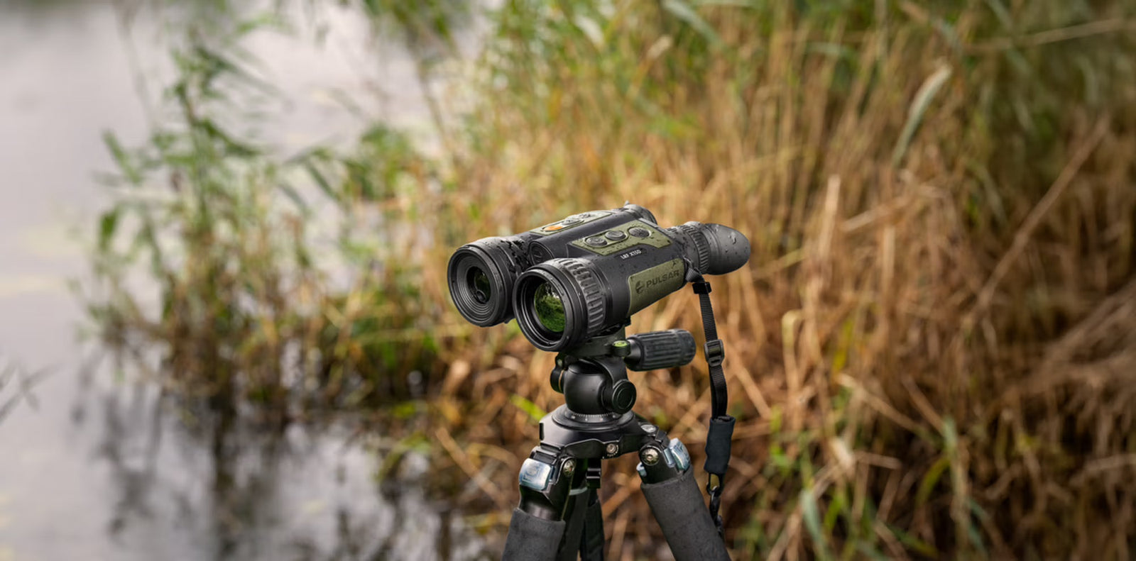 Ein PULSAR WLO Wärmebildfernglas Ventex XT50 ist auf einem Stativ im Freien zwischen Wasser und hohen braunen Schilfrohren montiert und für eine klare Beobachtung bei Nacht positioniert.