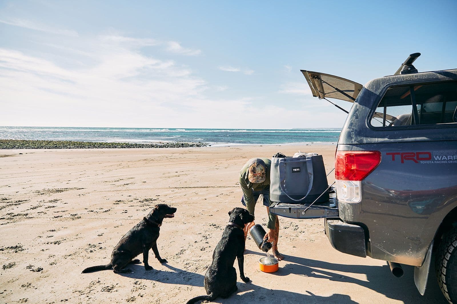 Eine Person bereitet das Futter für drei Hunde an einem grauen Pickup an einem Sandstrand vor, mit der YETI® Tragetasche Camino® Carryall 50 - Storm Grey in der Nähe und dem Meer und dem Himmel im Hintergrund.